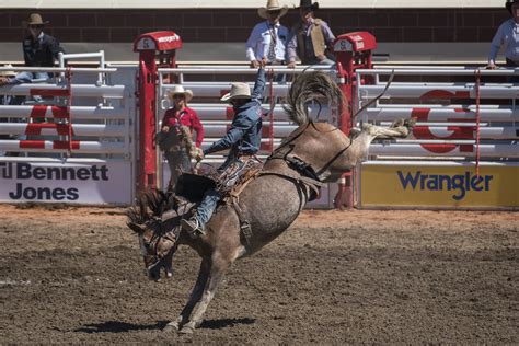 The Calgary Stampede